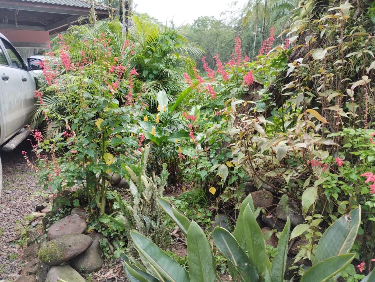 Pousada Morretes Arraial 외부 사진