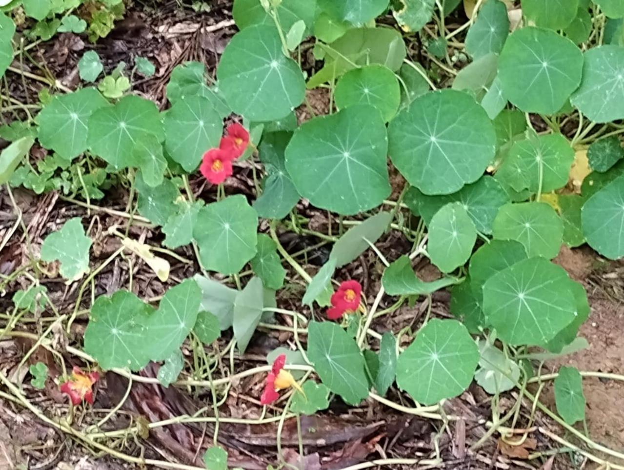 Pousada Morretes Arraial 외부 사진
