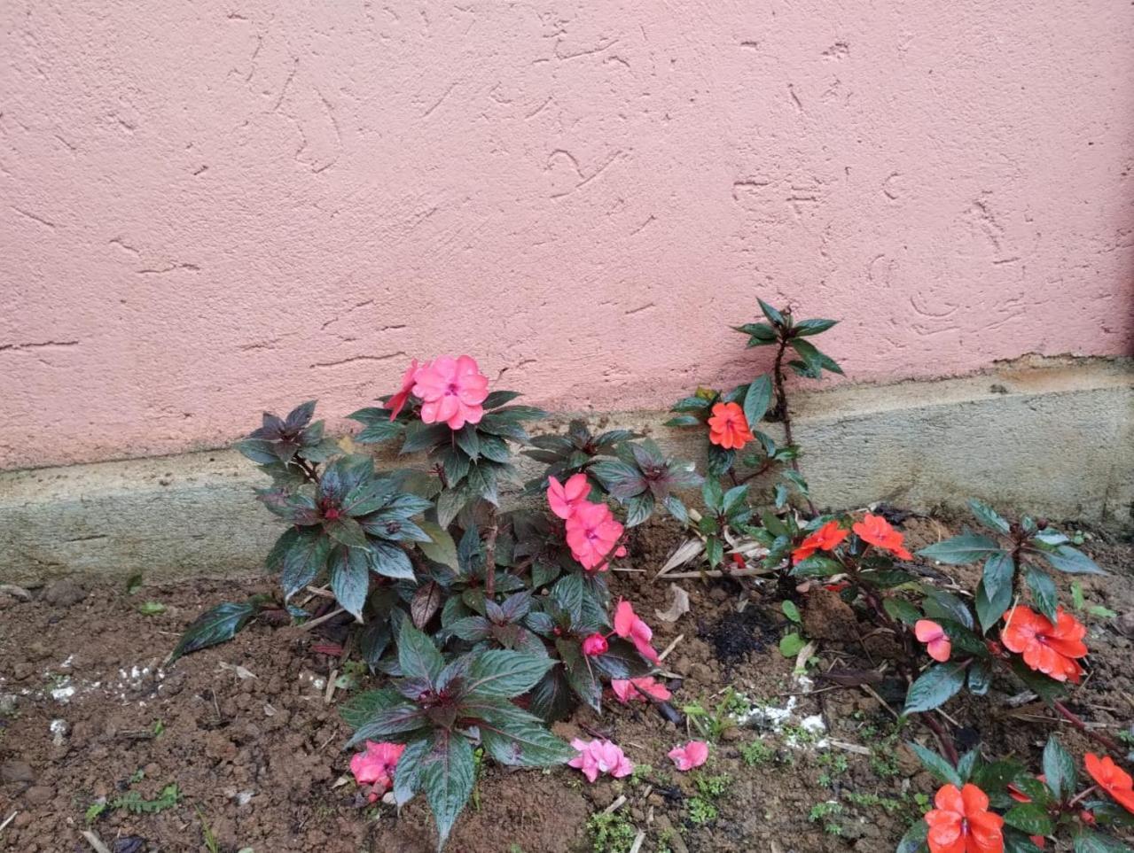 Pousada Morretes Arraial 외부 사진