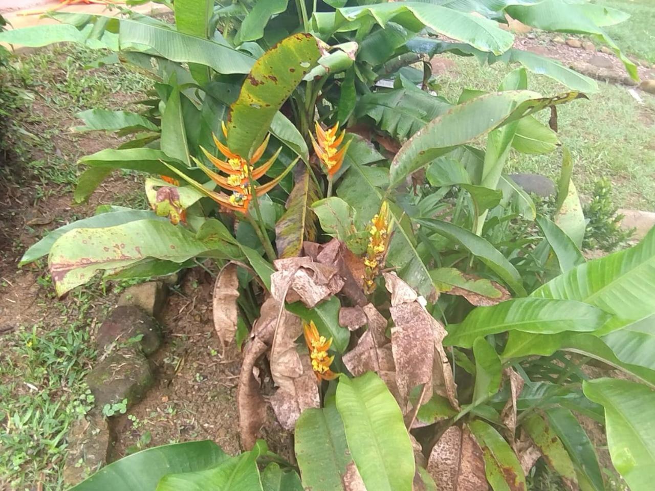 Pousada Morretes Arraial 외부 사진